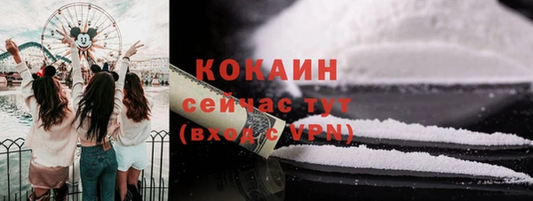 стафф Заводоуковск