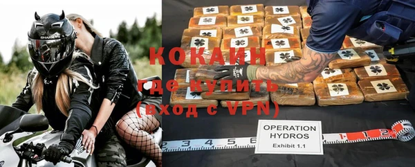 стафф Заводоуковск