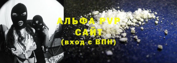 стафф Заводоуковск